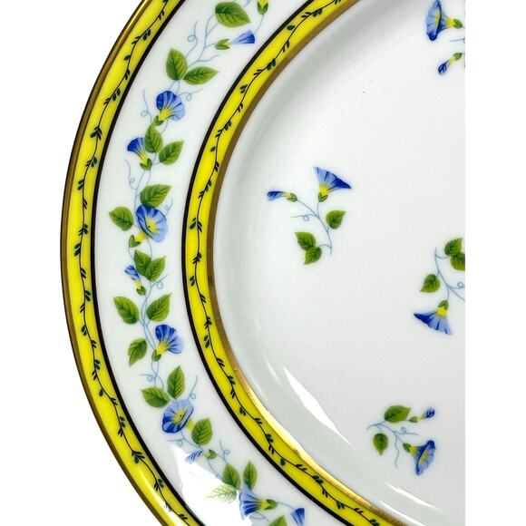 Raynaud Ceralene Limoges Morning Glory Spray 16.5" Oval Serving Platter-Mint! - Picture 2 of 7